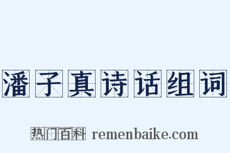 潘子真诗话组词是什么意思的图片
